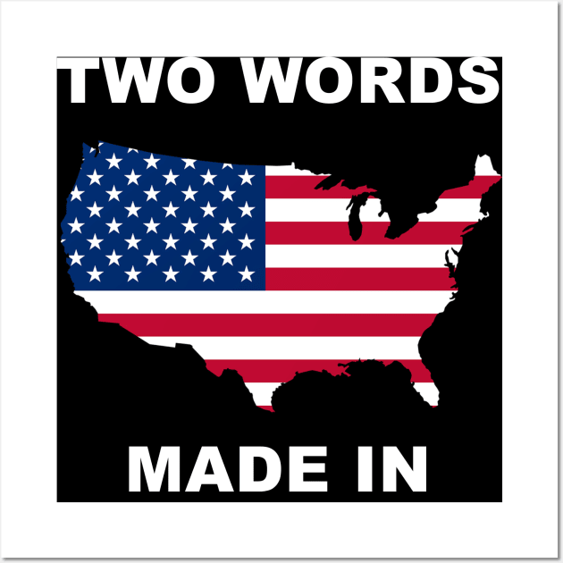 Two Words Made In America Wall Art by KellyCollDesigns